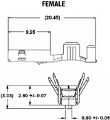 Apex 150 female